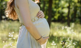 孕妇能吃蟠桃吗 孕妇能吃蟠桃吗晚期