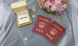 结婚40周年是什么婚（夫妻结婚40周年是什么婚）