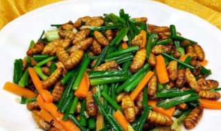 蚕蛹怎么炒好吃(蚕蛹怎么炒好吃又简单)