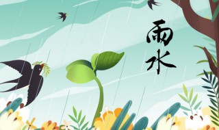 雨水节气怎么养生（雨水节气怎么养生好）