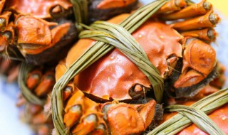 准备怀孕可以吃螃蟹吗（准备怀孕期间可以吃螃蟹吗）