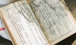 筝怎么读 箪怎么读拼音