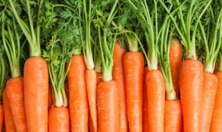 宝宝吃胡萝卜的好处（宝宝吃胡萝卜的好处与功效）