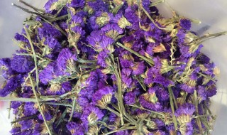 喝勿忘我花茶的好处有哪些 喝勿忘我花茶的好处有哪些呢