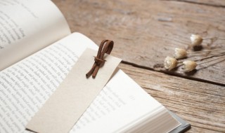 模糊近义词 模糊反义词