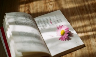 猎怎么组词（翅怎么组词）