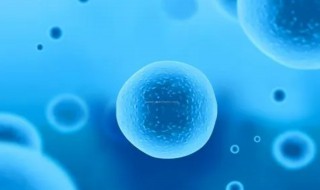 怎么养卵泡（月经过后怎么养卵泡）