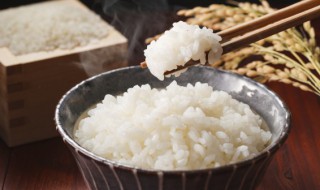 青菜炒饭做法 青菜炒饭做法视频教程