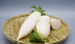 萝卜生的做法（萝卜生的做法大全家常）