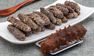 海参如何做法好吃（海参如何做法好吃窍门）