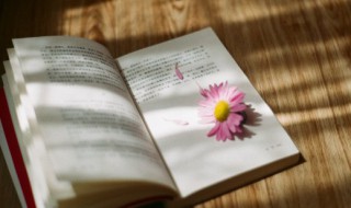 三点水丰怎么读（仚屳氽汆读什么）