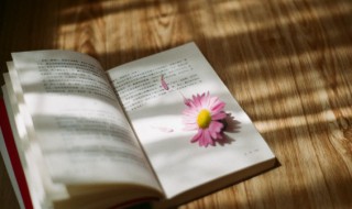 可汗怎么读 颉利可汗怎么读