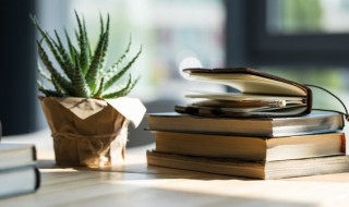 菩萨怎么读 菩萨怎么读音