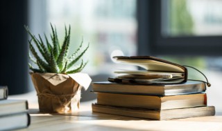 佛龛怎么读 佛盒佛龛怎么读