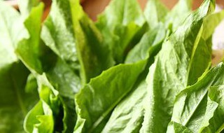 油麦菜可以煮汤吗 油麦菜可以煮汤吗?