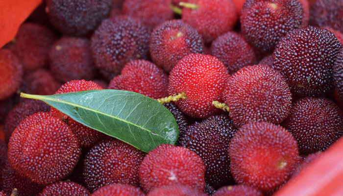 苏州当地特色水果 苏州当特色水果都有什么