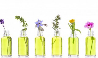 怎么使用香水 正确使用香水的方法