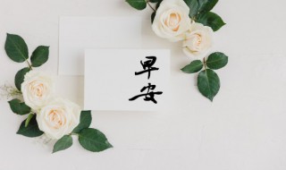 2022早安励志语大全（2020年早安励志心语）