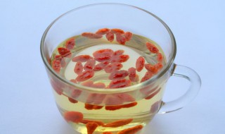 常喝枸杞泡水有什么好处 女人常喝枸杞泡水有什么好处