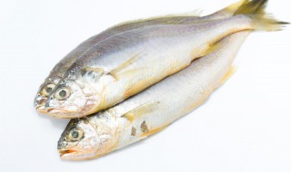 鱼如何腌制才好吃 怎么腌制鱼好吃