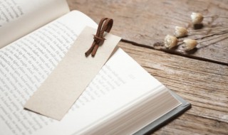 辫组词和造句 编辫子的辫组词