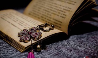 崇的组词和造句（崇的造句有哪些?）