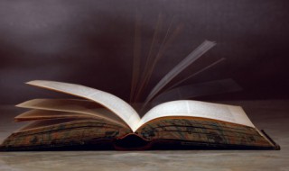 诚字组词和造句（诚的组词怎么组）