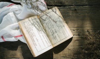 游子吟的作者简介 游子吟的作者简介,诗意,表达感情