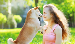 怎么确保爱犬产后健康 狗狗生产后怎么办