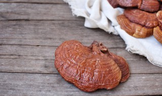 喝灵芝泡水对女人有什么好处 喝灵芝水对女人的好处