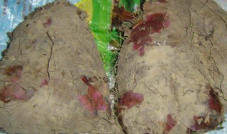 大薯什么人不能吃 蕃薯什么人不能吃