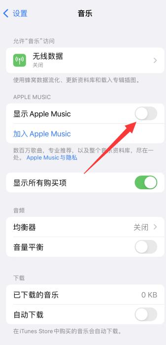 iPhone手机为什么显示未在播放