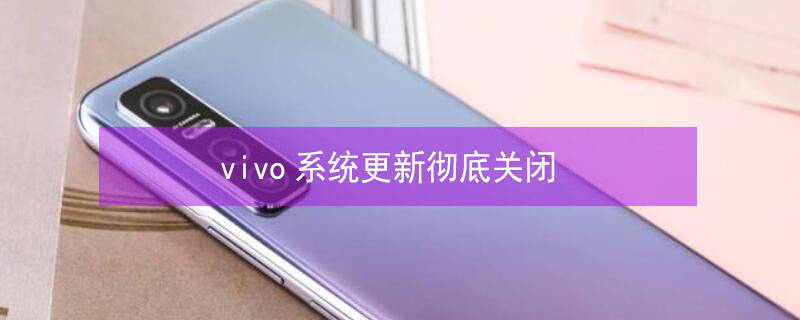 vivo系统更新彻底关闭