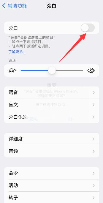 iPhone手机打开旁白