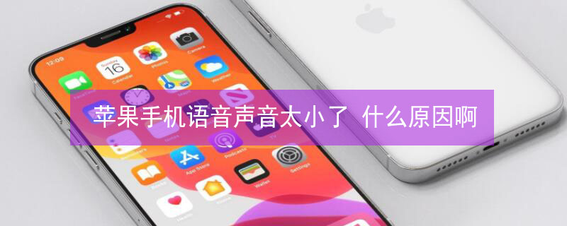 iPhone手机语音声音太小了 什么原因啊