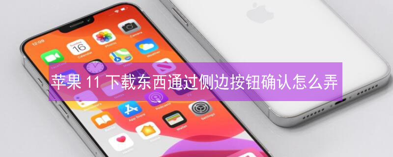 iPhone11下载东西通过侧边按钮确认怎么弄