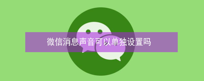 微信消息声音可以单独设置吗