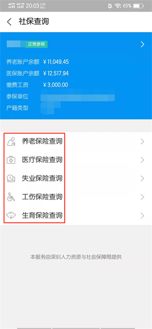 手机怎样查询社保缴费明细