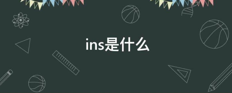 ins全称