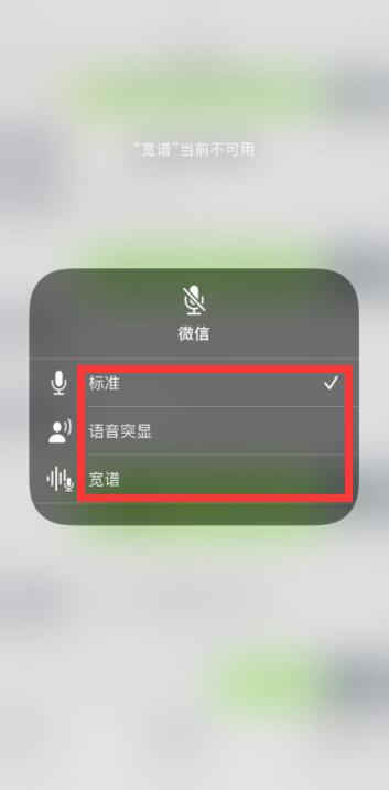iPhone13麦克风模式怎么设置