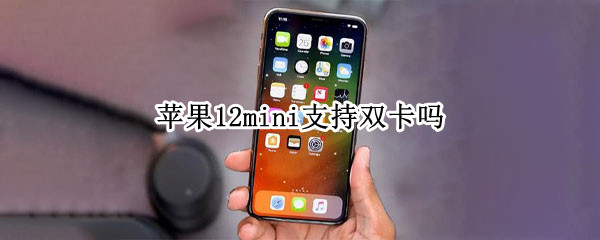 苹果12mini支持双卡吗 苹果12mini可以双卡吗