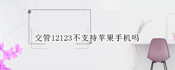 交管12123不支持苹果手机吗 苹果手机交管12123网络连接不可用