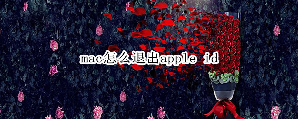 mac怎么退出apple（mac怎么退出apple id账号）