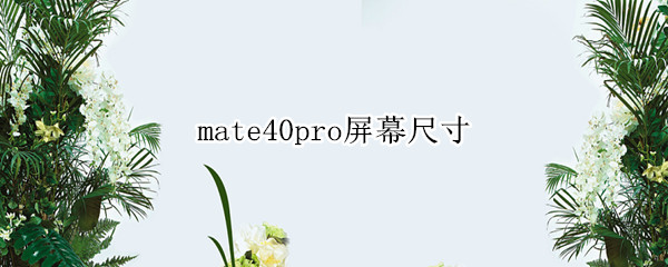 mate40pro屏幕尺寸 mate40屏幕尺寸