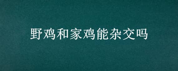 野鸡和家鸡能杂交吗_养鸡人必看