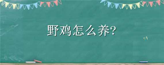 野鸡怎么养