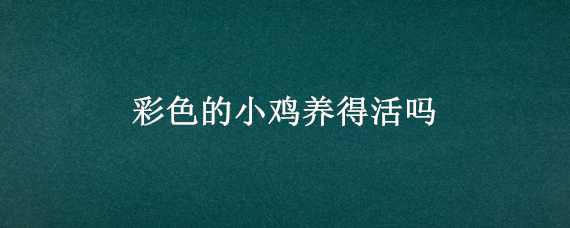 彩色的小鸡养得活吗