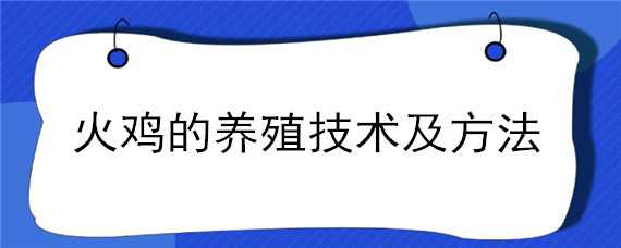 火鸡的养殖技术及方法