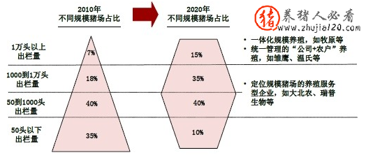 中国生猪养殖的经营管理模式分析