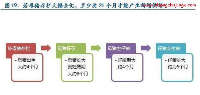 假设2015年保持猪粮比价5.5的盈亏平衡，2015年的猪肉价格为22.5